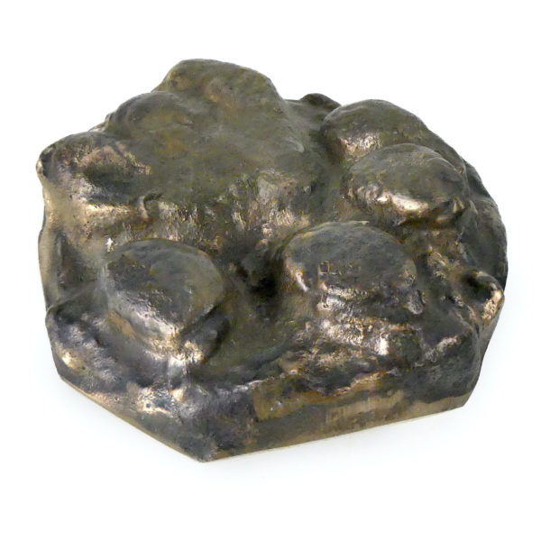 Empreinte de patte d’ours brun moulé en bronze massif (3/4)