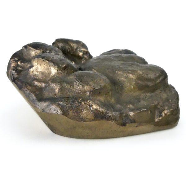 Empreinte de patte d’ours brun moulé en bronze massif (profil)