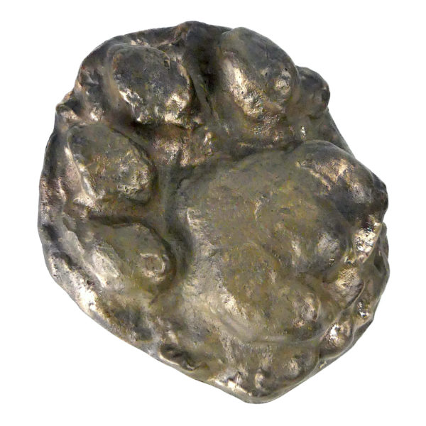 Empreinte de patte d’ours brun moulé en bronze massif (3/4)