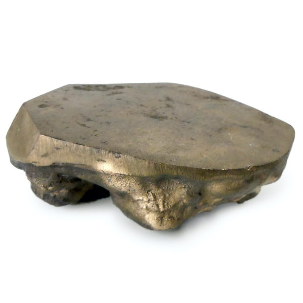 Empreinte de patte d’ours brun moulé en bronze massif (profil dessous)