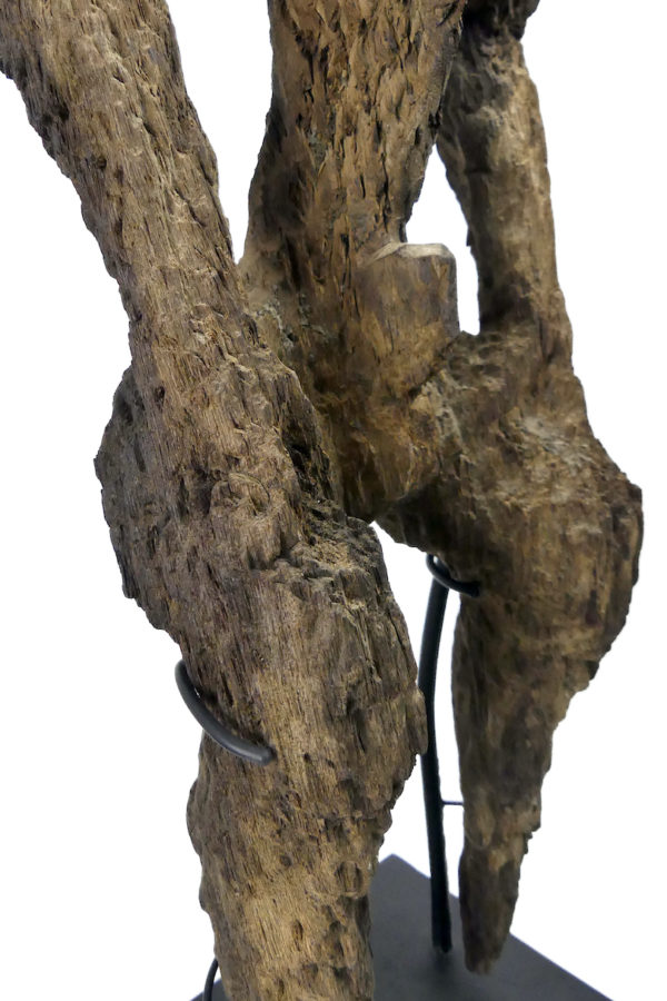 Statue Modang très érodée de Kalimantan en bois de fer Art Dayak (détail)