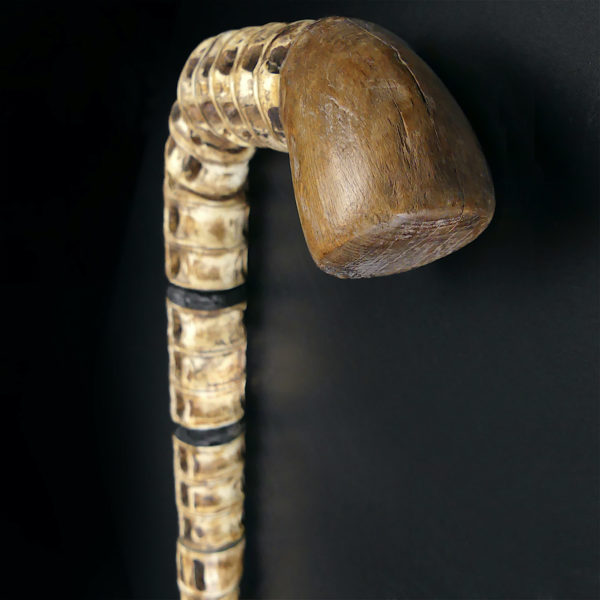 Canne de capitaine Cap Hornier bois et vertèbres de requin XIXe (détail)