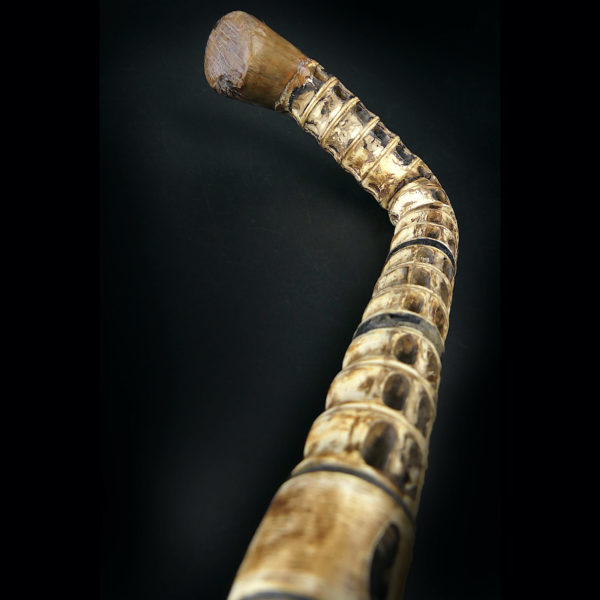 Canne de capitaine Cap Hornier bois et vertèbres de requin XIXe (détail)