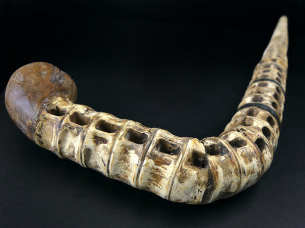 Canne de capitaine Cap Hornier bois et vertèbres de requin XIXe (dessus 3/4)