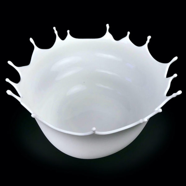 Coupe à fruits Dropp blanche du designer allemand Niels Römer (dessus 3/4)