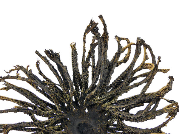 Comaster Gracilis étoile de mer plume sur pied en bois tourné noir Philippines (détail)