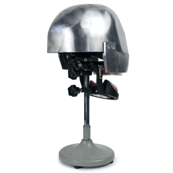 Tête fantôme dentaire vintage des années 50/60 (3/4 dos)