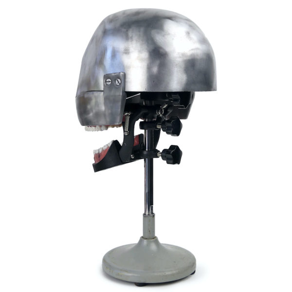 Tête fantôme dentaire vintage des années 50/60 (3/4 dos)