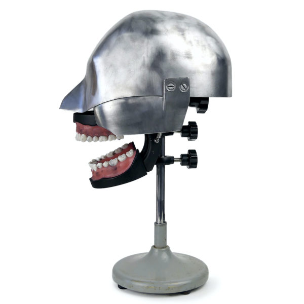 Tête fantôme dentaire vintage des années 50/60 (profil)