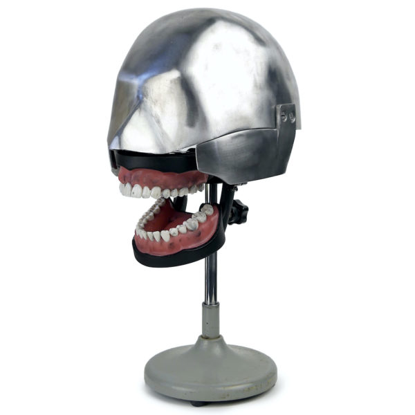 Tête fantôme dentaire vintage des années 50/60 (3/4)