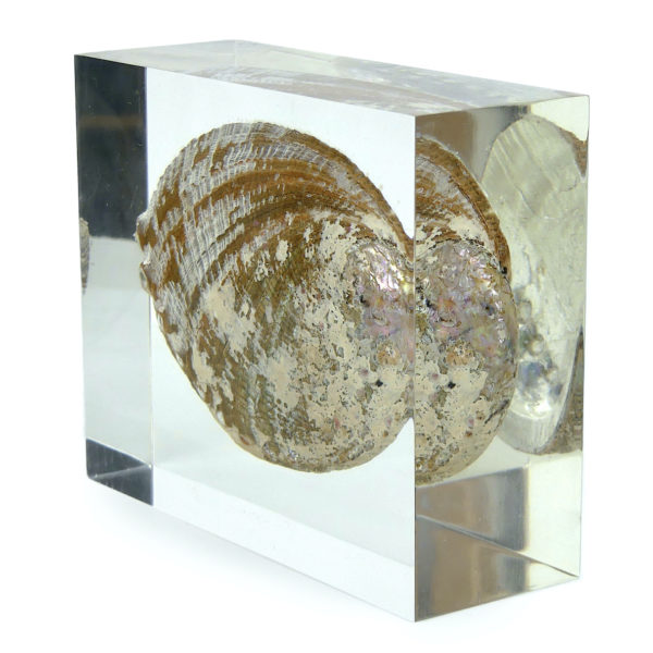 Inclusion coquille d’ormeau presse-papiers de bureau des années 70 (3/4 dos)