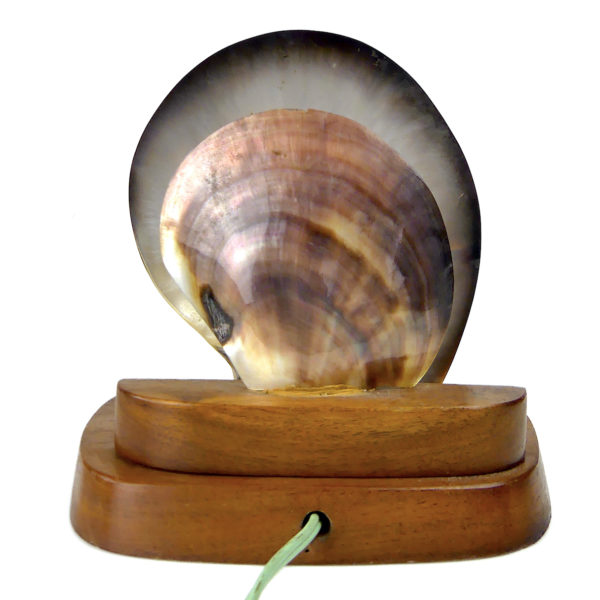Lampe d’ambiance polynésienne en nacre ciselée et bois de rose (dos)
