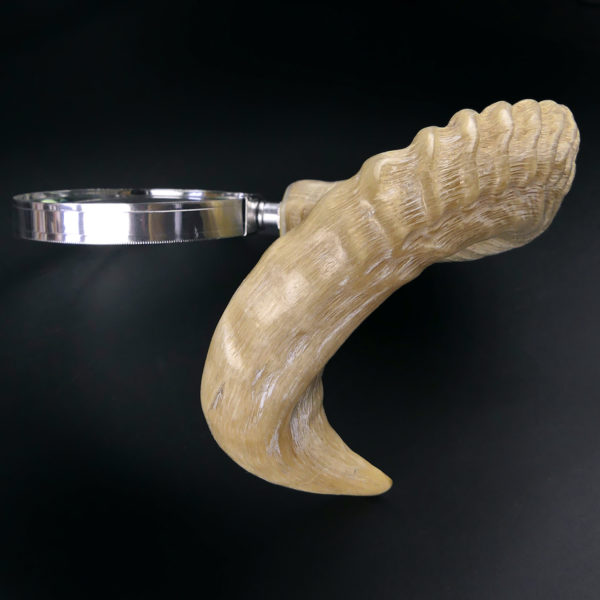 Grande loupe montée sur corne de  chèvre torsadée (profil)