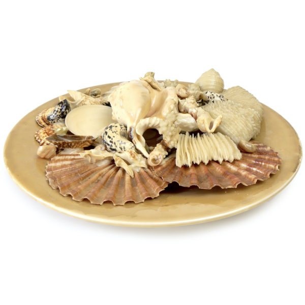 Grande assiette de coquillages Assiette murale de collection Italie Mi-XXe (3/4)
