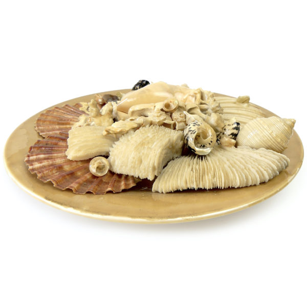 Grande assiette de coquillages Assiette murale de collection Italie Mi-XXe (3/4)