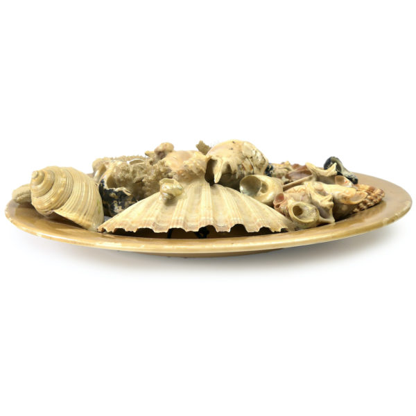 Grande assiette de coquillages Assiette murale de collection Italie Mi-XXe (profil)