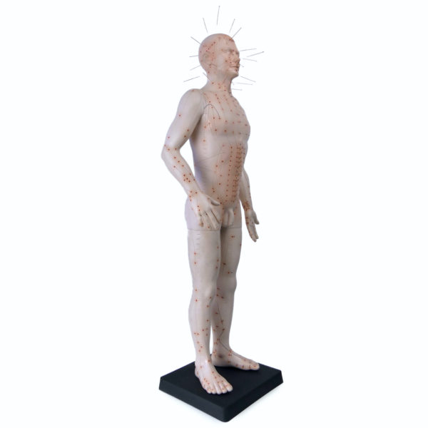 Grand mannequin d’acupuncture homme en PVC Médecine Chinoise (3/4)