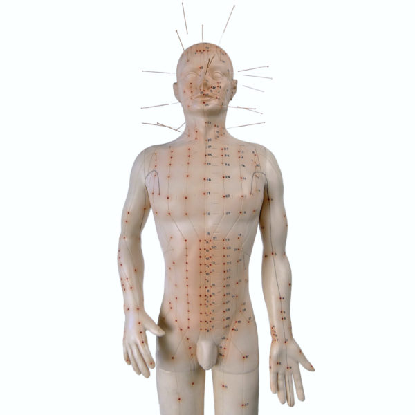 Grand mannequin d’acupuncture homme en PVC Médecine Chinoise (détail)