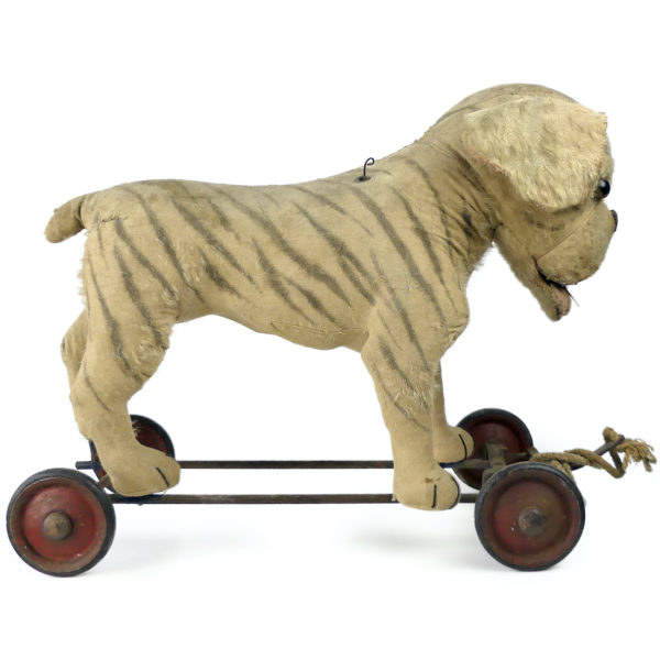 Bouledogue à roulettes rare peluche et paille Début XXe siècle Steiff Allemagne (profil)