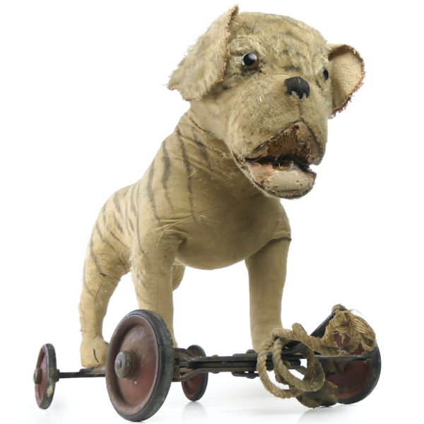 Bouledogue à roulettes rare peluche et paille Début XXe siècle Steiff Allemagne (3/4)