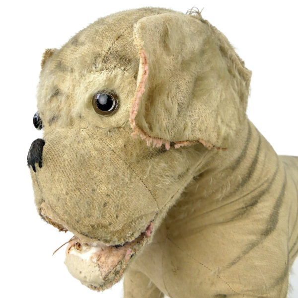 Bouledogue à roulettes rare peluche et paille Début XXe siècle Steiff Allemagne (détail)