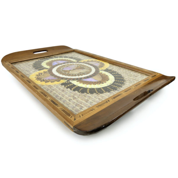 Plateau de papillons de Guyane des années 40/50 Travail de bagnard (3/4)