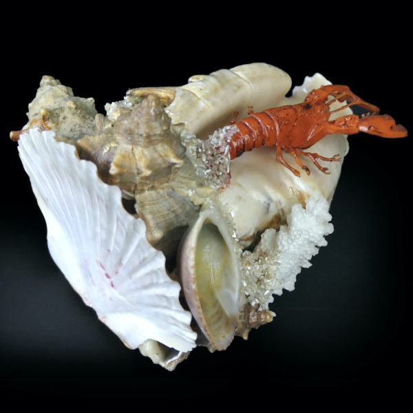 Composition bord de mer coquillages et crustacé Souvenir de vacances Années 60 (dessous 3/4)