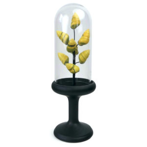 Petit arbre de coquilles jaunes d’escargot terrestre sous cloche de verre et pied en bois noir