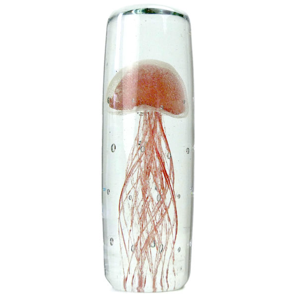 Sulfure méduse rouge pâle en verre transparent cylindrique (face)