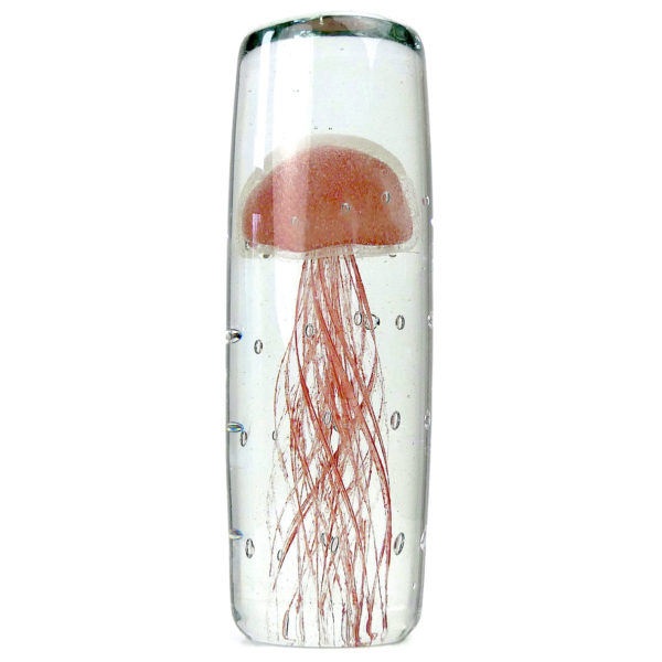 Sulfure méduse rouge pâle en verre transparent cylindrique (face)