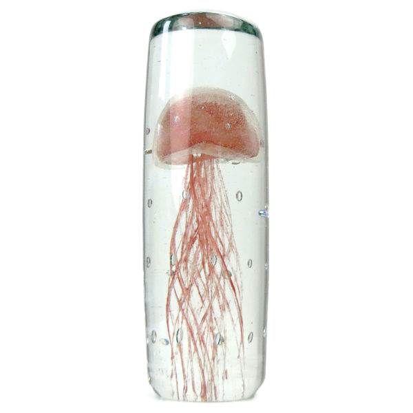 Sulfure méduse rouge pâle en verre transparent cylindrique (face)