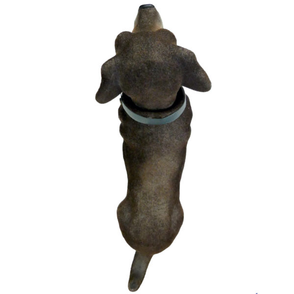 Teckel à tête mobile à poser sur la plage arrière Années 60/70 Objet culte (dessus)