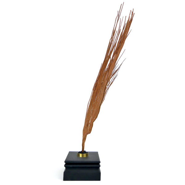 Grande gorgone lyre sur socle en bois noir - Ctenocella pectinata (profil)