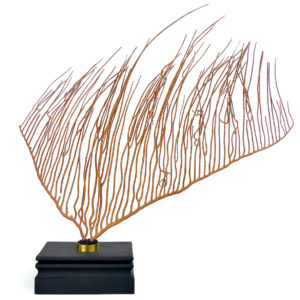 Grande gorgone lyre sur socle en bois noir - Ctenocella pectinata (face)