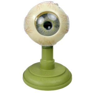 Globe oculaire SOMSO vintage modèle anatomique d’œil sur socle Allemagne (face)