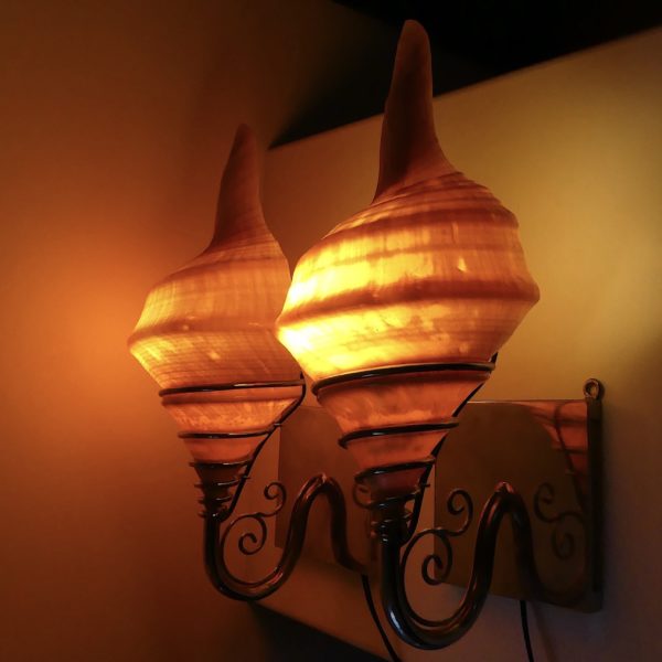 Deux appliques coquillages Syrinx aruanus montés en lampes murales Indonésie (allumées)