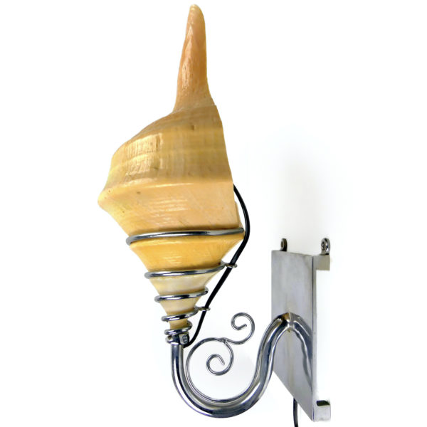Deux appliques coquillages Syrinx aruanus montés en lampes murales Indonésie (profil)