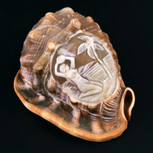 Coquillage ciselé Cassis Rufa Début XXe Glyptique Camée Italie (3/4)