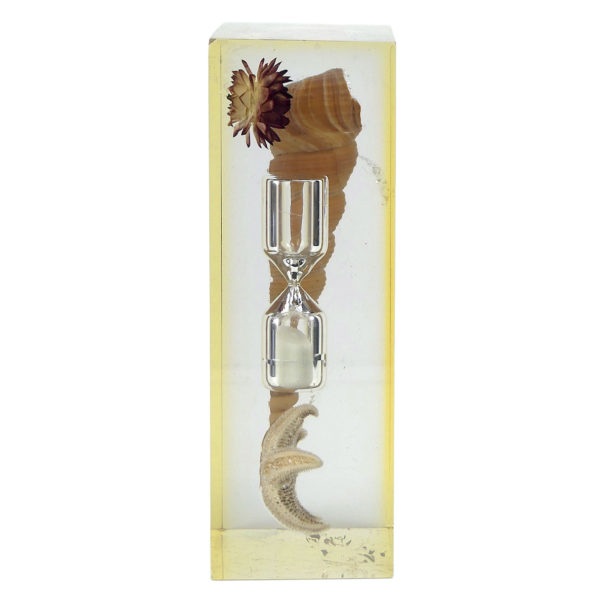 Inclusion Bord de mer sablier coquillage étoile de mer petite fleur séchée années 60 (profil)