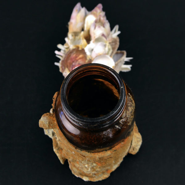 Flacon de pharmacie balanes et spondylus provenant du fond de la mer (dessus)