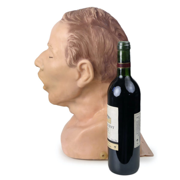 Modèle de tête d'intubation vintage Tête mannequin adulte anatomique années 80 (profil proportion)