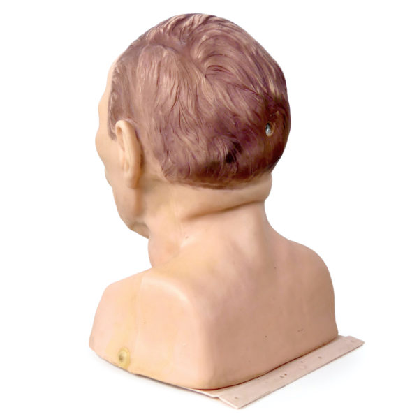 Modèle de tête d'intubation vintage Tête mannequin adulte anatomique années 80 (3/4 dos)