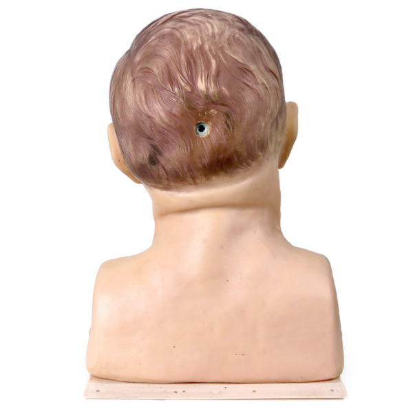 Modèle de tête d'intubation vintage Tête mannequin adulte anatomique années 80 (dos)