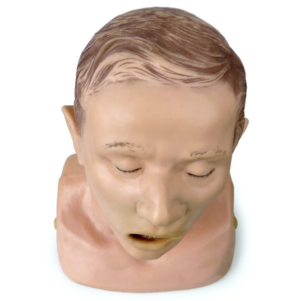 Modèle de tête d'intubation vintage Tête mannequin adulte anatomique années 80 (dessus)