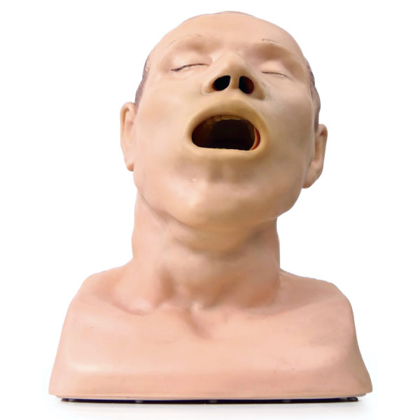 Modèle de tête d'intubation vintage Tête mannequin adulte anatomique années 80 (dessous 3/4)