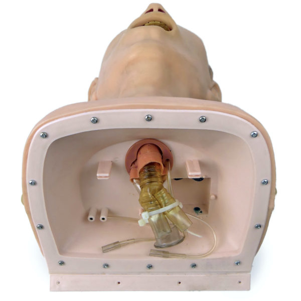 Modèle de tête d'intubation vintage Tête mannequin adulte anatomique années 80 (dessous 3/4)