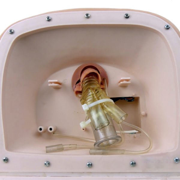 Modèle de tête d'intubation vintage Tête mannequin adulte anatomique années 80 (dessous)