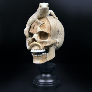 Crâne au lézard en bois de tamarin et bois de cerf sur pied Vanité Memento mori (3/4)