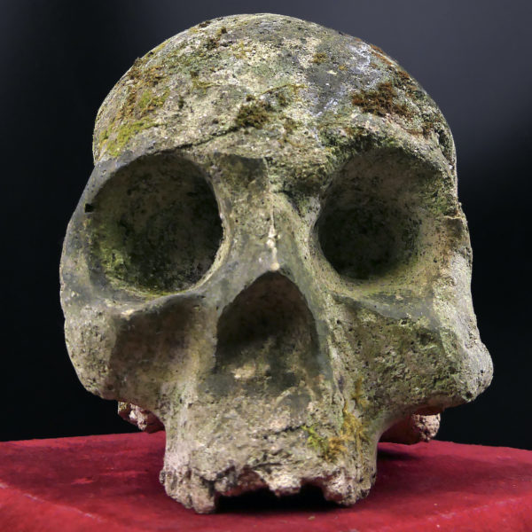 Crâne en pierre sculptée sur piédestal en velours rouge Vanité Memento mori (face)