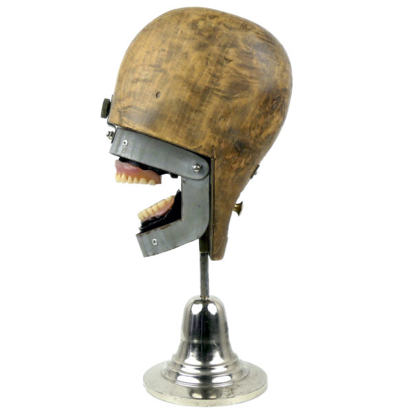 Tête fantôme dentaire vintage Fantôme dentaire Pays-Bas (profil)